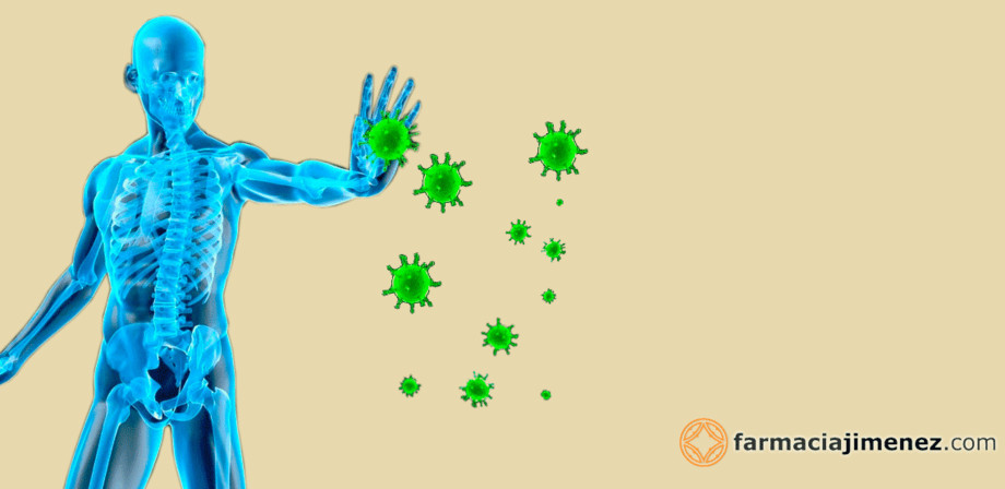 Cómo fortalecer el sistema inmunológico: guía completa