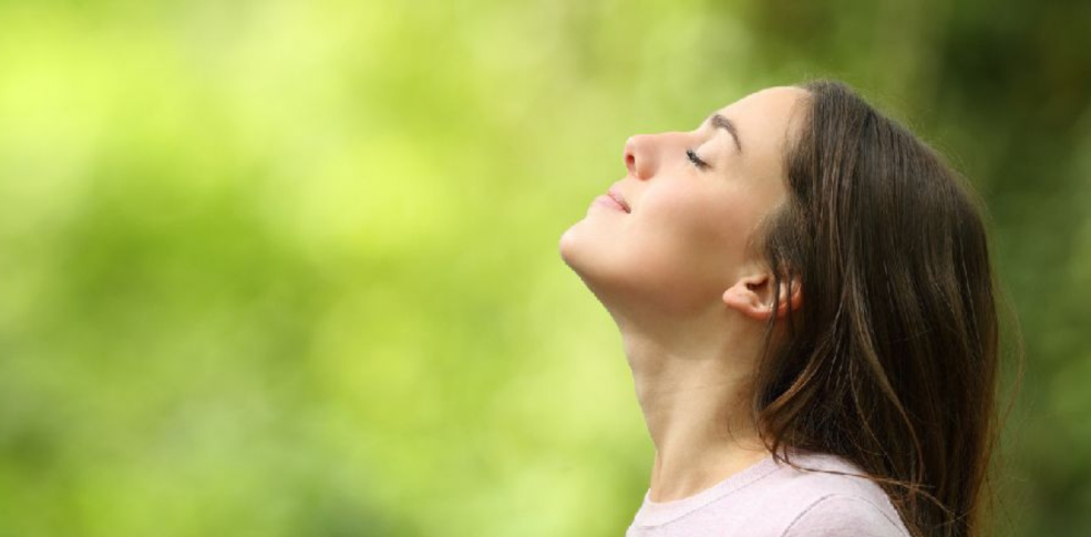 Las mejores cremas naturales para la cara