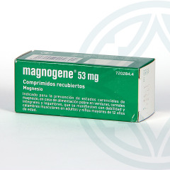 Magnogene 53 mg 45 comprimidos recubiertos